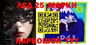 индика Можга