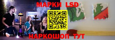 индика Можга