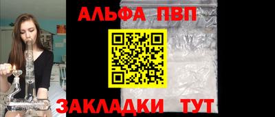 индика Можга