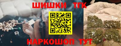 индика Можга