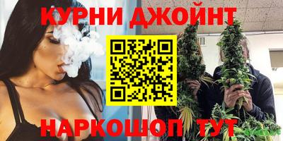 индика Можга