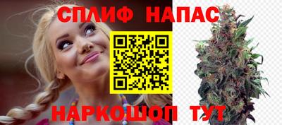 индика Можга