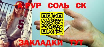 индика Можга