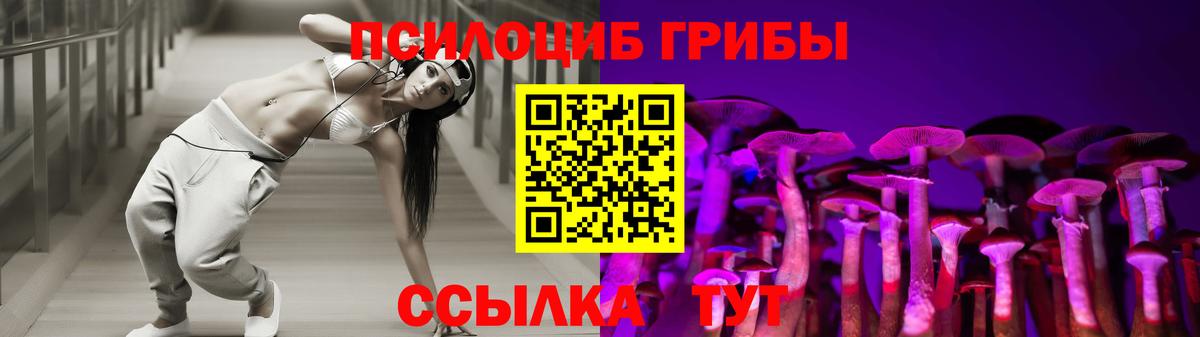 Псилоцибиновые грибы Psilocybe Первоуральск